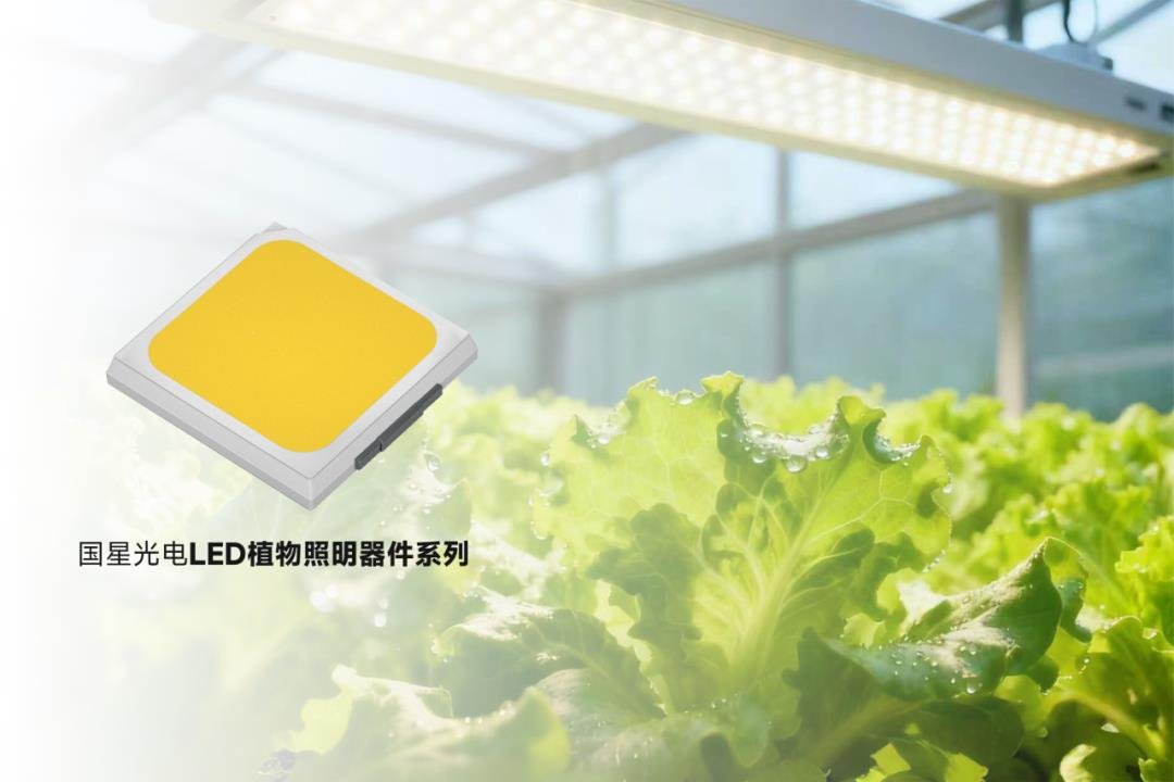 AI+植物照明-現代農業向「新」提質 AI+植物照明-現代農業向「新」提質