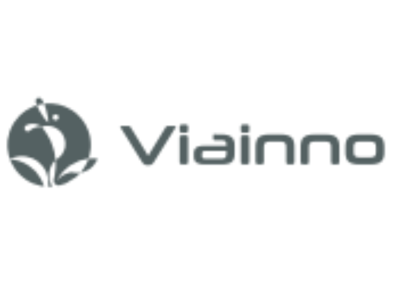 VIAINNO CORPORATION VIAINNO CORPORATION